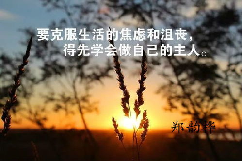 励志英文语录大集结，经典说说触动心灵