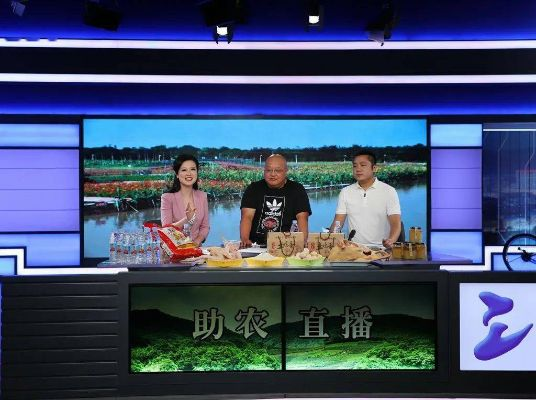 定南直播室直播内容全新揭秘