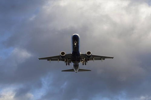 全球十大顶尖航空公司榜单揭晓，航空领域的佼佼者大放异彩