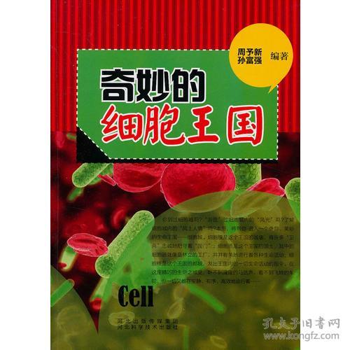百度独家揭秘，酒醉蝴蝶背后的故事，与百度的奇妙缘分探索之旅