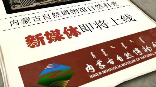 茅台鉴别真假视频全解析，博客站长指南助你慧眼识真茅台