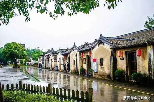 宜陵区小庙村最新热点新闻聚焦