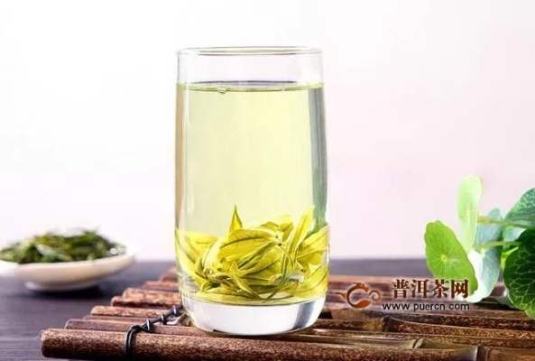 安吉白茶的惊人功效，健康宝藏，一探便知！