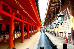北京春节三天畅游古都，全面旅游攻略大揭秘！