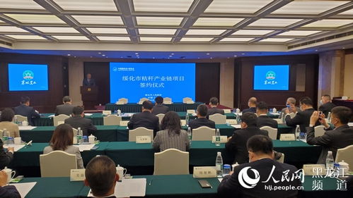 绥化供电公司排名及行业地位揭秘