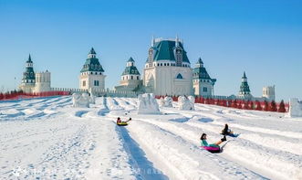 「哈尔滨冰雪奇缘，本地旅游攻略带你畅游童话冰雪世界」