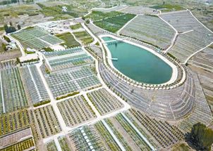 襄城县东津活力四溢，县域发展引领者的探索之旅