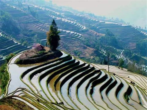 宁化景区魅力揭秘，十大必游之地排行榜