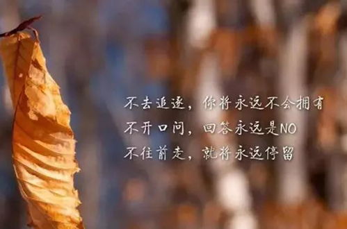 励志语录与厨房生活的无限可能