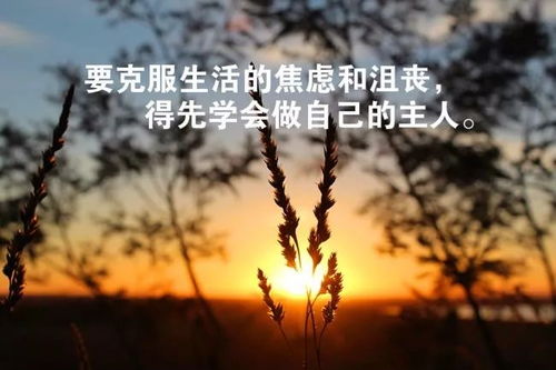 海山深处的励志与温情——心灵滋养语录