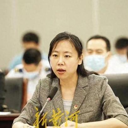 郑州至香港旅行攻略，最新指南助你畅游返程