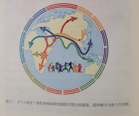 全球血缘之谜揭秘，探寻人类血脉中的奥秘与奇妙联系
