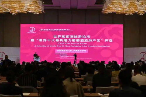 安康小学排名前十揭晓，卓越教育之旅探索