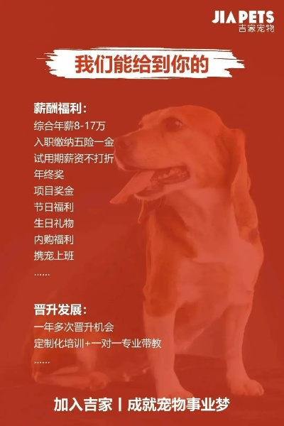 延吉宠物博主招募启事，寻找热爱宠物事业的伙伴加入团队，共创美好未来！