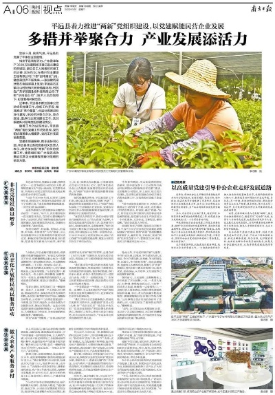 喜安县新闻聚焦，县域发展活力之源探索报道
