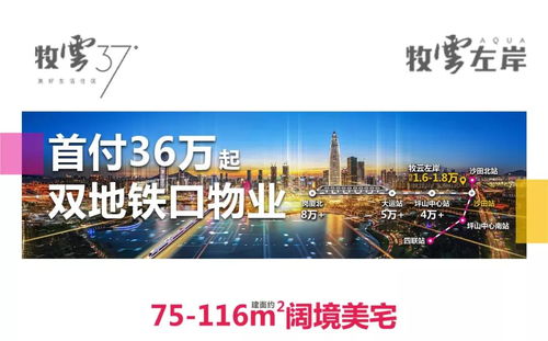 今日龙港热搜事件大揭秘，最新概述一网打尽！