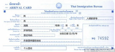 清迈入境旅行秘籍，最新攻略助你轻松畅游清迈