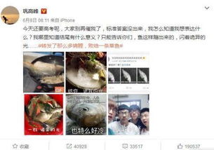 揭秘咒怨，深度解读博客文章热议话题