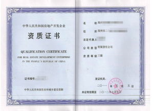 阳江资质公司权威排名榜，探寻行业领军企业的卓越足迹