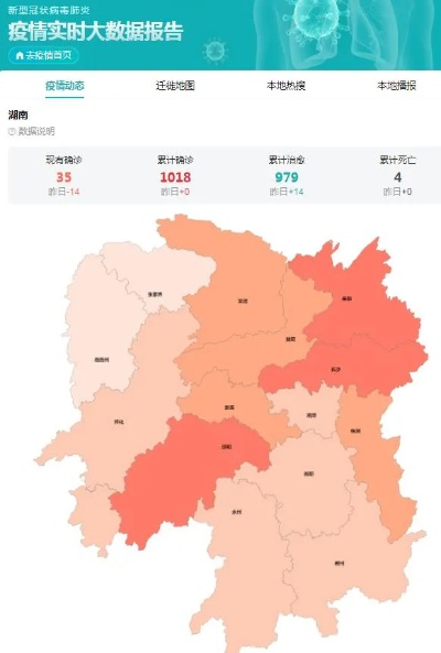 湖南疫情最新动态，逐步放开，应对策略全解析