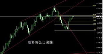 石家庄黄金最新行情解析，市场波动与趋势解读