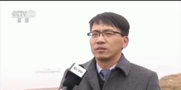 丹徒长江沿岸发展动态揭秘，最新新闻头条探索新发展篇章