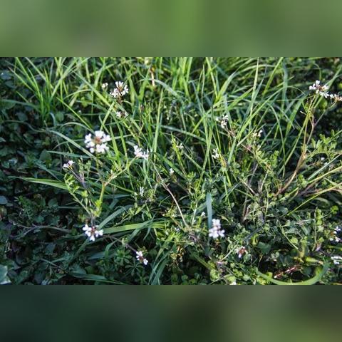 黄山学院小屋事件揭秘，最新视频进展与事件真相深度探究
