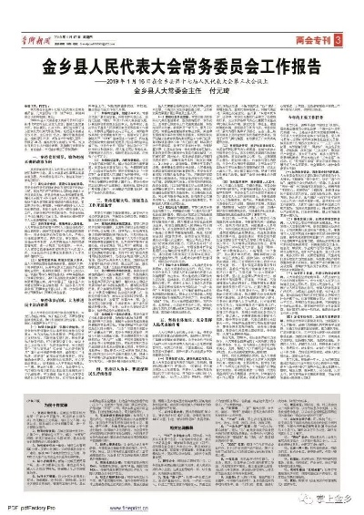 金乡最新新闻头条，今日大事全关注