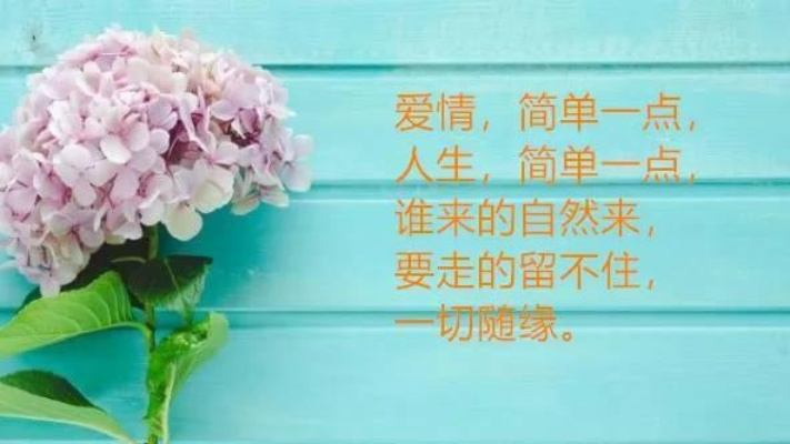 励志情感语录，触动心灵的温暖话语