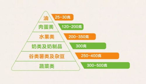 商务旅行攻略揭秘，学生玩转商务之旅的必备指南！