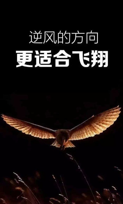 钩钩励志语录，坚韧追梦之力