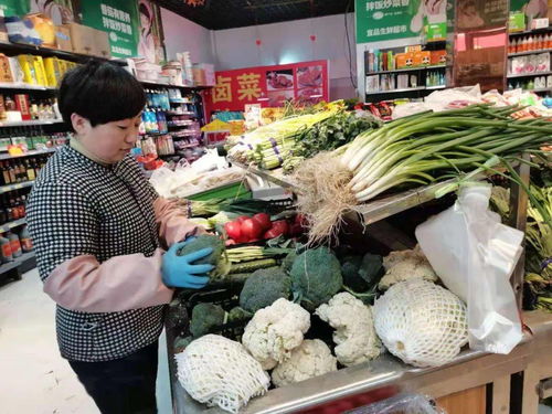 砀山今日蔬菜价格一览表，最新市场动态全掌握！