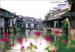 乌镇自驾游攻略大全，带你畅游古镇美景！