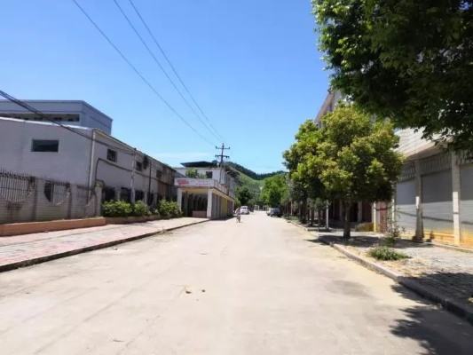 大横镇发展活力四溢，揭秘地方变迁新闻头条