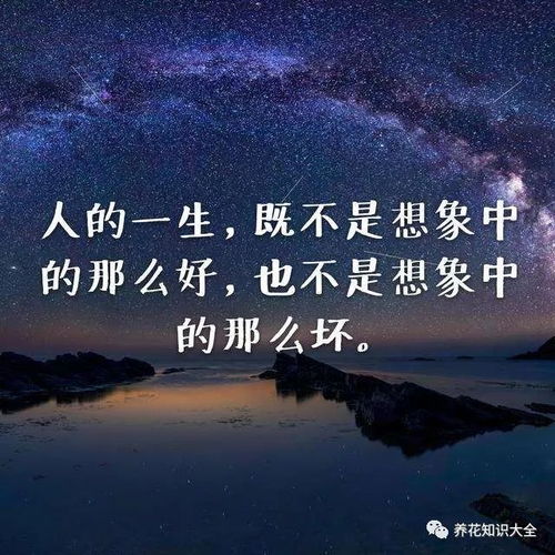 华为女神励志语录，闪耀光芒，勇往直前的人生信条