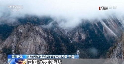 恩施崇山新闻揭秘，神秘面纱下的新篇章开启