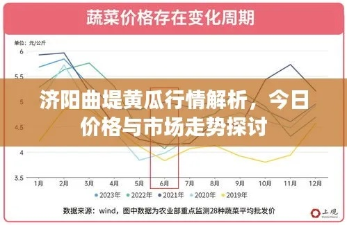 潍坊黄瓜最新价格走势及分析，市场动态与影响因素全解析
