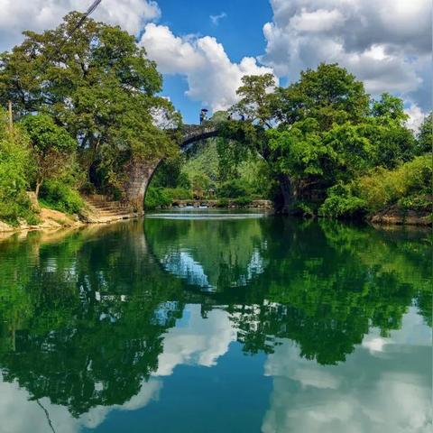 龙河最新今日头条资讯，河畔活力四溢的新动态速递