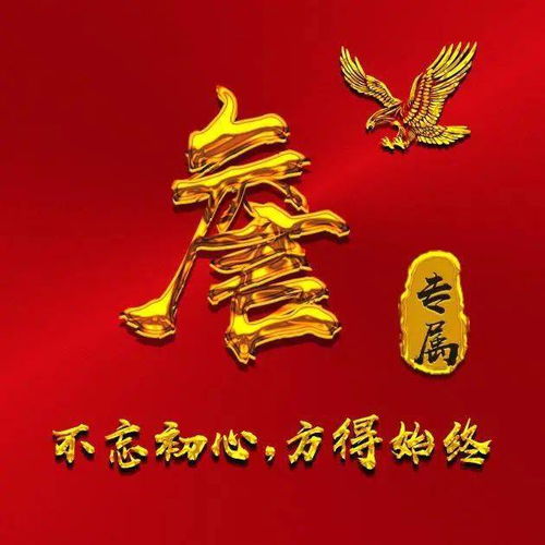 龙年专属姓氏头像定制，打造独一无二个性化头像之选
